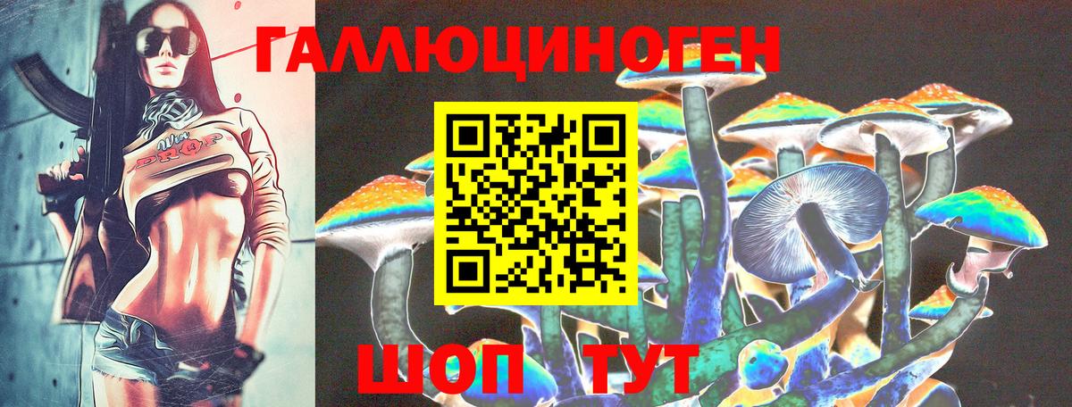 Псилоцибиновые грибы MAGIC MUSHROOMS  Галлюциногенные грибы GOLDEN TEACHER  Вход с VPN  наркотики  Хабаровск 